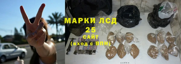 стаф Арсеньев