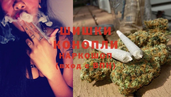 стаф Арсеньев