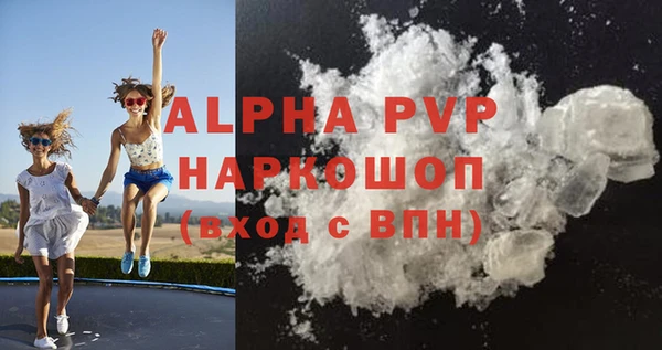 стаф Арсеньев