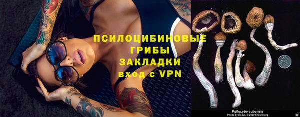 стаф Арсеньев