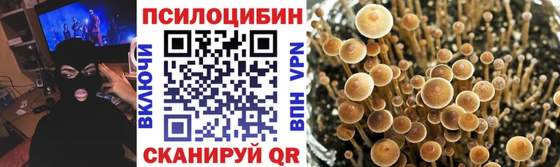 дарк нет какой сайт  Ряжск  kraken ТОР  Псилоцибиновые грибы мицелий  цены  